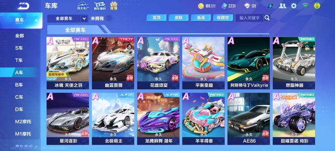 到了篮球之