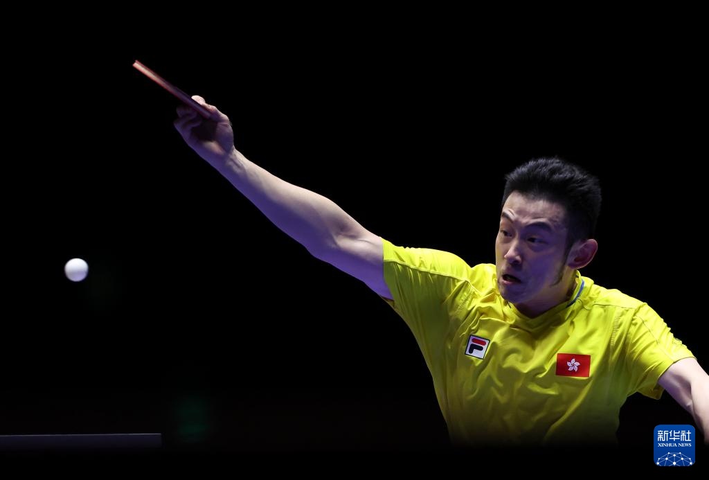 不得不提到 不得不提到