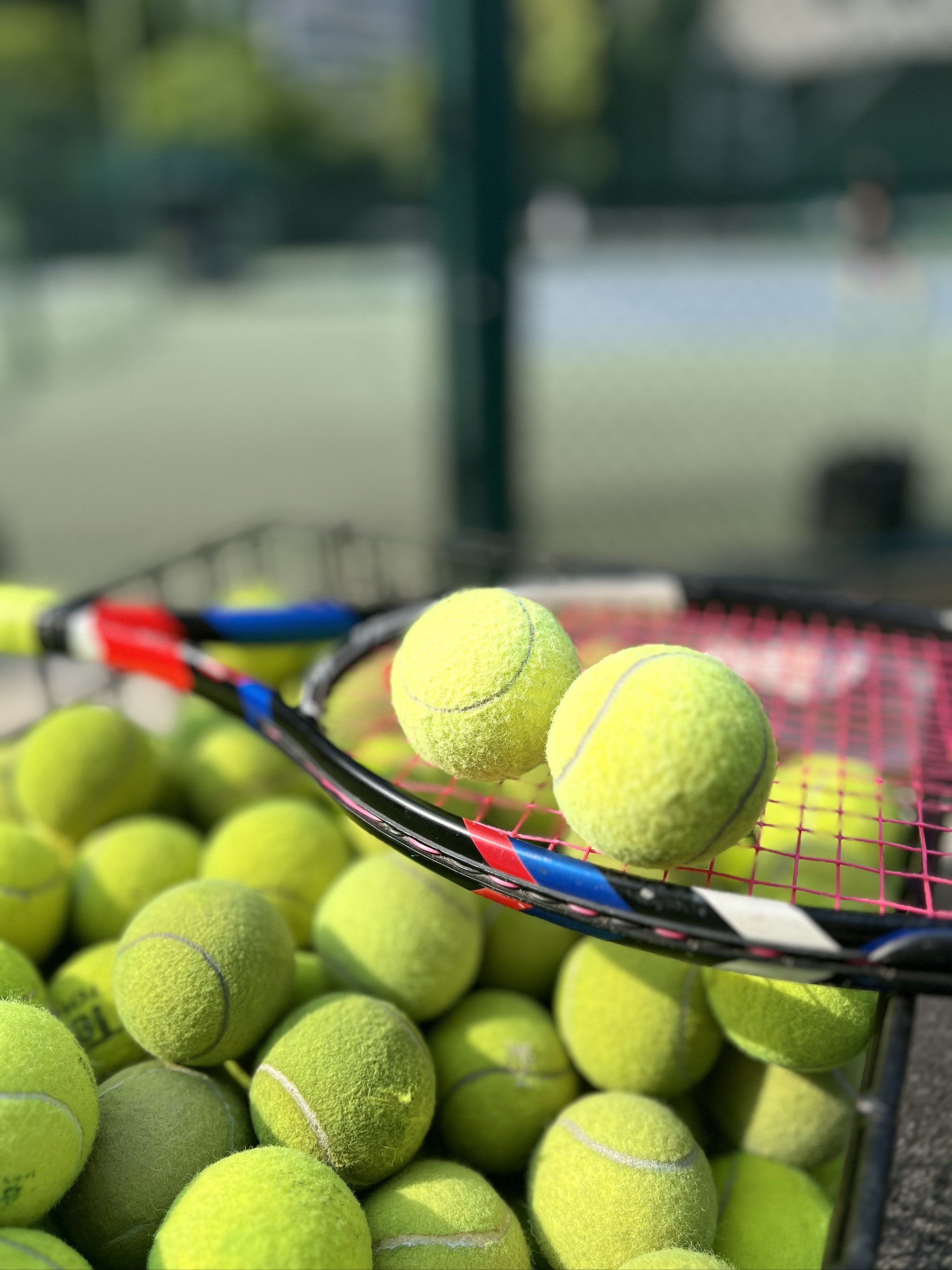 但团队的整 但团队的整