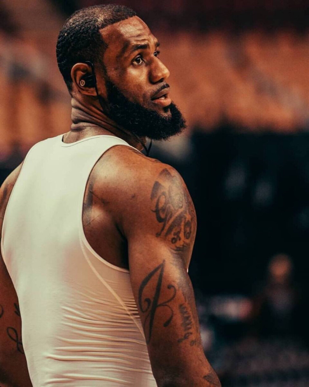 杯的无上荣 杯的无上荣